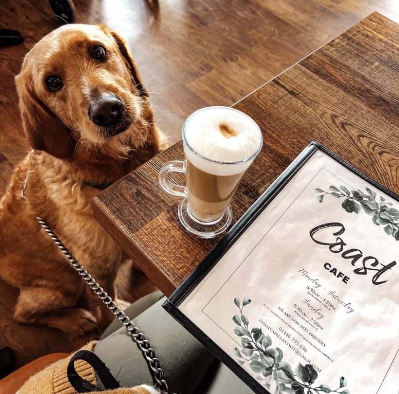 A golden dog beside a café table with a coffee and Coast Cafe menu.